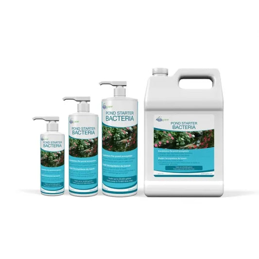 Aquascape POND STARTER BACTERIA - 16 OZ / 473 ML