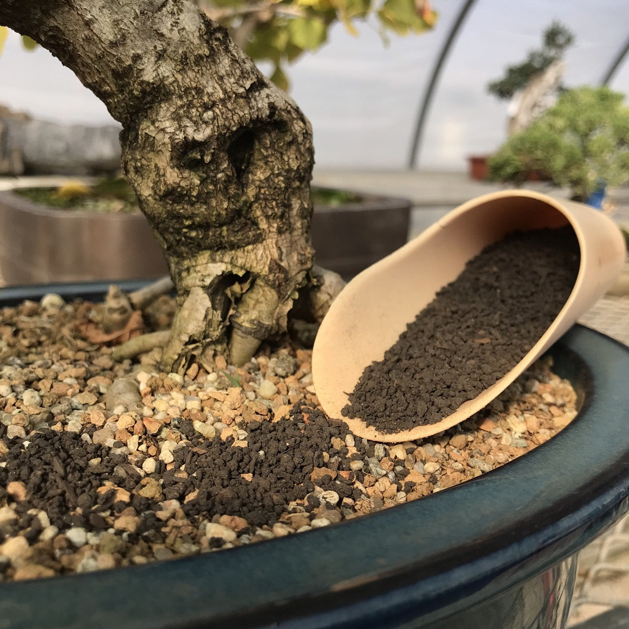 Ho Yoku Organic Fertilizer Pellets (NPK 4-6-4)