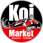 Koi Market