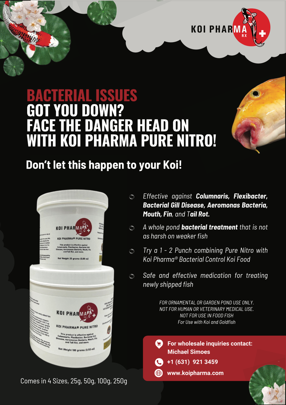 Koi Pharma® Pure Nitro and Whole Pond Bacterial Disease Control