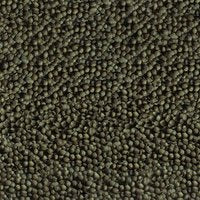 Sera Goldy Color Spirulina Nature (Goldfish Color Food)