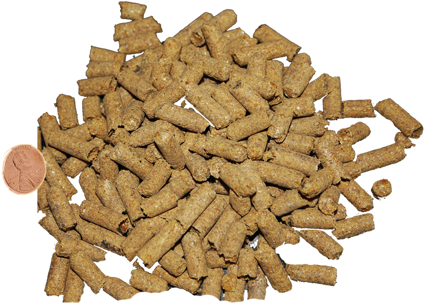 Blackwater's Ebi Koi Diet Treats