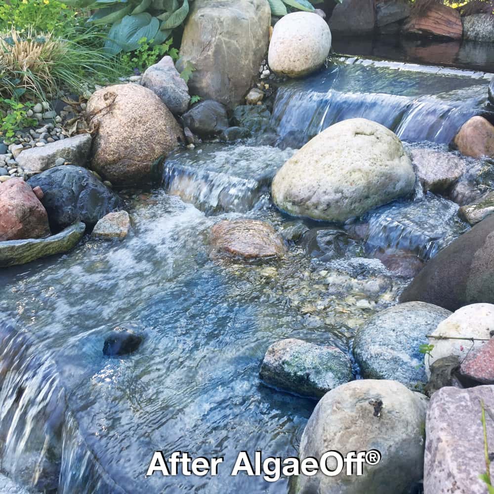 Pond After Algae Off